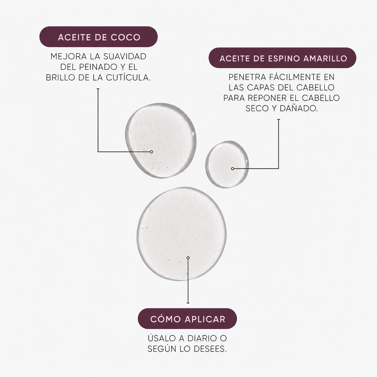 Signature Nourish Hair Oil ingredientes coco y espino amarillo