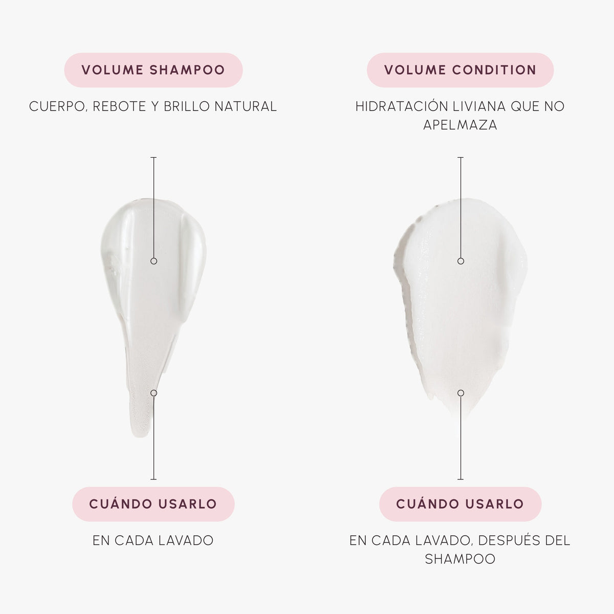 Texturas y modo de uso de Volume Shampoo 1 L + Volume Condition 1 L