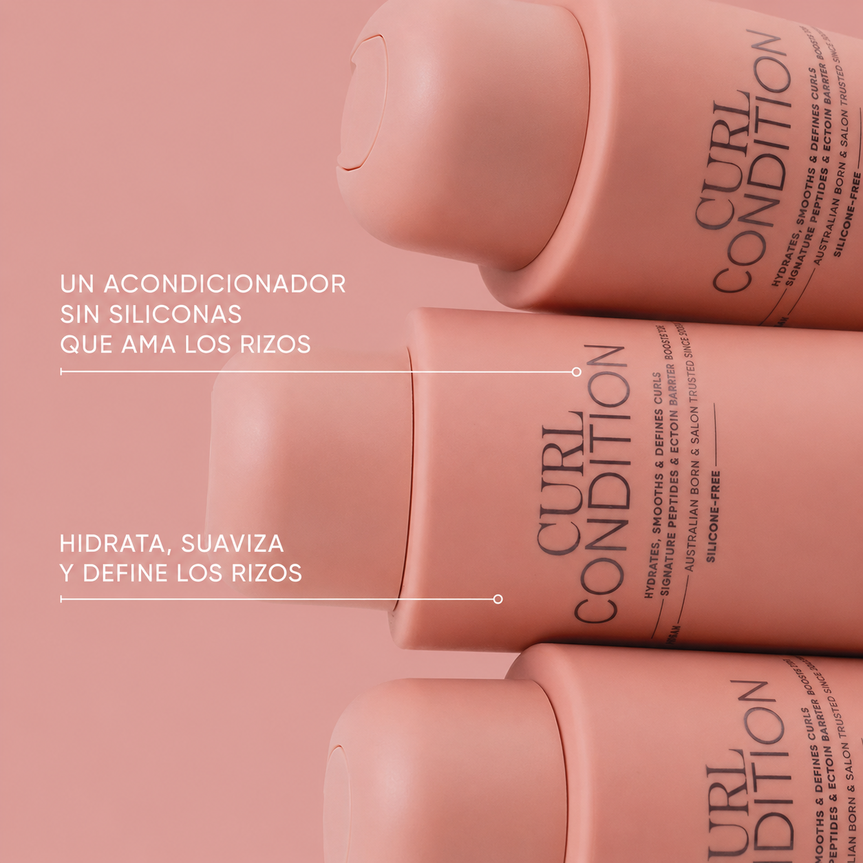 Signature Curl Conditioner ingredientes naturales